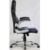 Офисное кресло Mio Tesoro Данте AOC-8033 (черный/белый/синий)