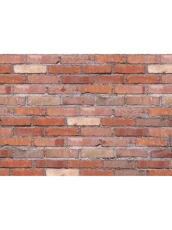 Зачистная шлифмашина SKIL 8100 LC