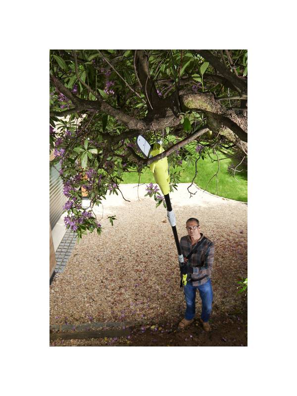 Высоторез цепной электрический + кусторез электрический RYOBI RP750450