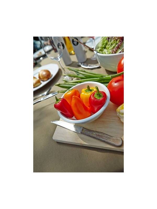 Садовое барбекю Buschbeck DAVOS