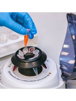 Центрифуга лабораторная "Armed" CH90-1S