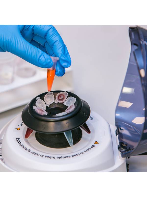 Центрифуга лабораторная "Armed" CH90-1S