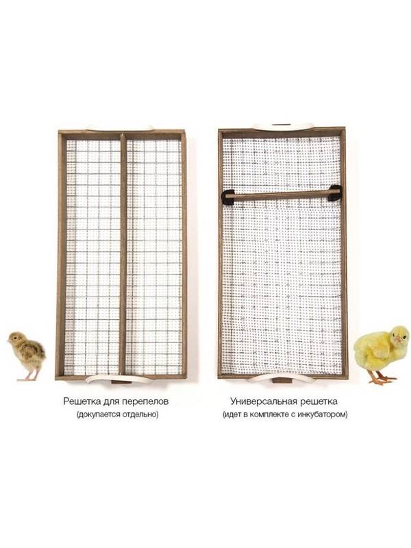 Инкубатор цифровой автоматический "БЛИЦ НОРМА" (72 яйца)