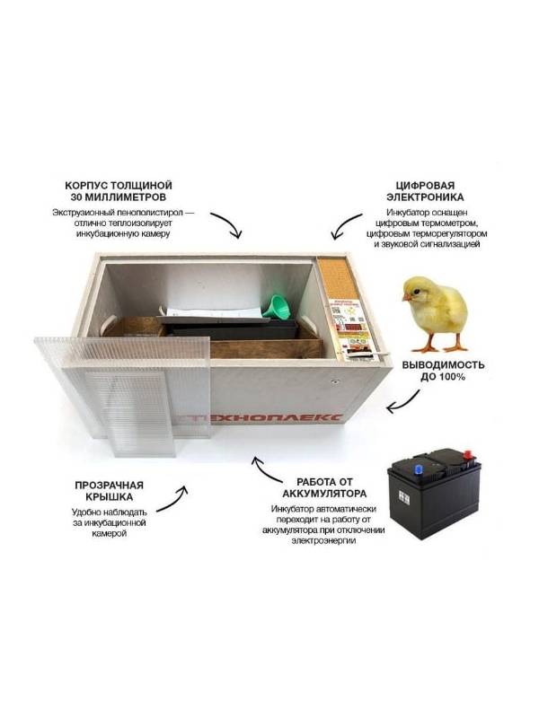Инкубатор "Норма" 72 Луппер 