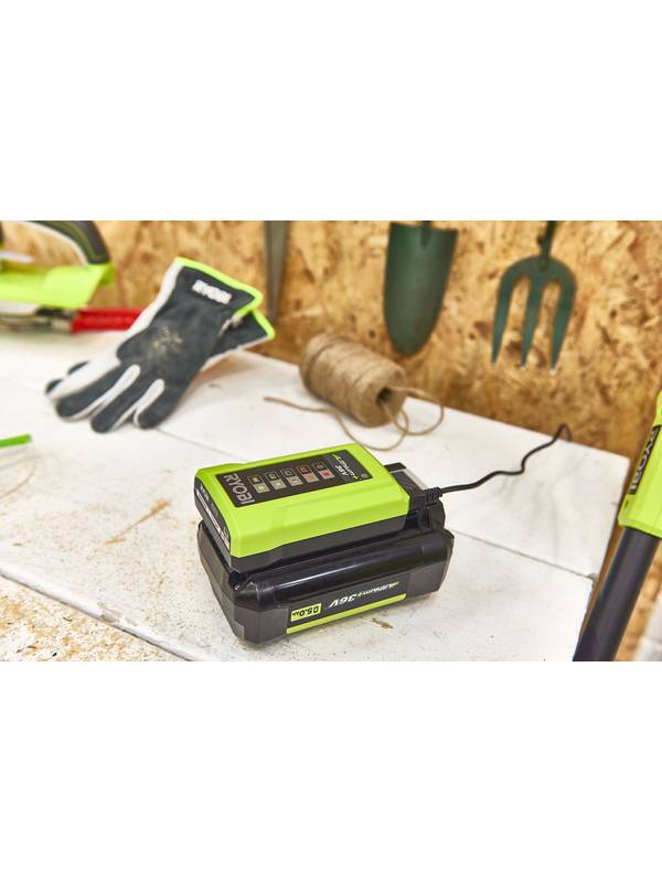 Зарядное устройство RYOBI RY36C17A