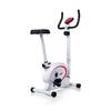 Велотренажер RS B 501-2 (белый)