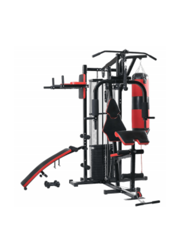 Силовой комплекс ProFit HG480